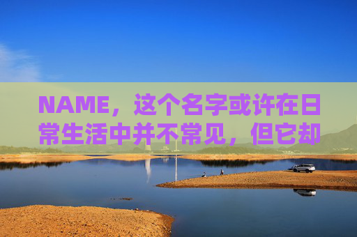NAME，这个名字或许在日常生活中并不常见，但它却在某些领域里扮演着重要的角色。今天，让我们一起来探索这个名字背后的故事和意义